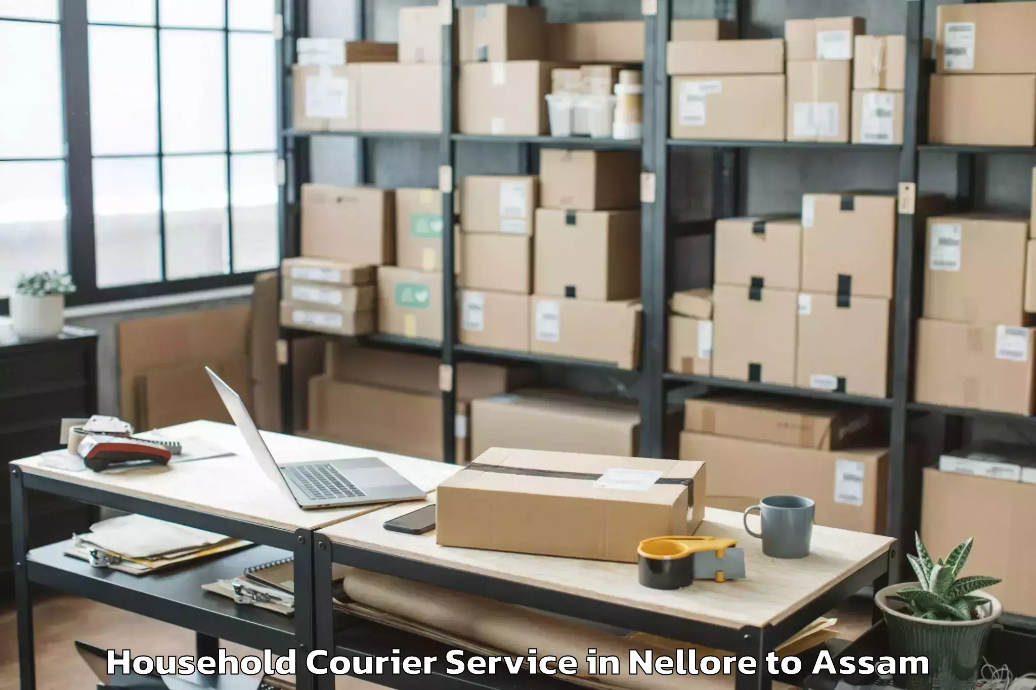 Easy Nellore to Gauhati University Guwahati Household Courier Booking